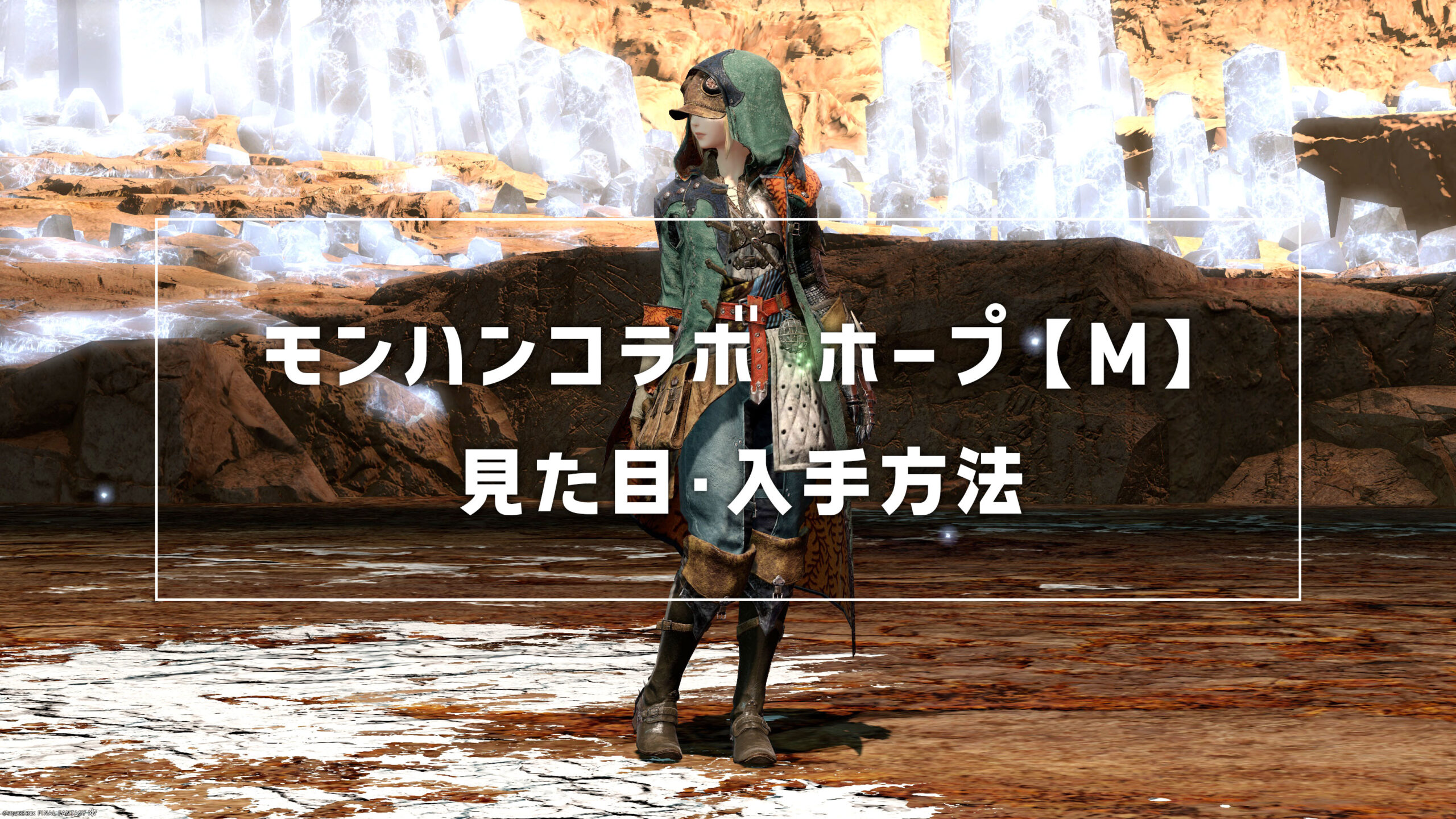 ホープ【M】_サムネ