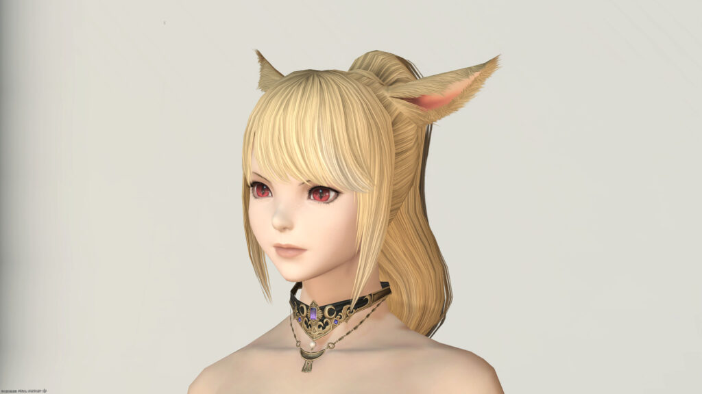 ルナエンヴォイ_首