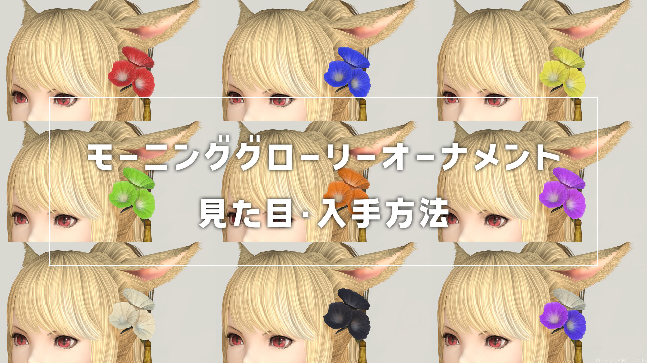 モーニンググローリーオーナメント_サムネ