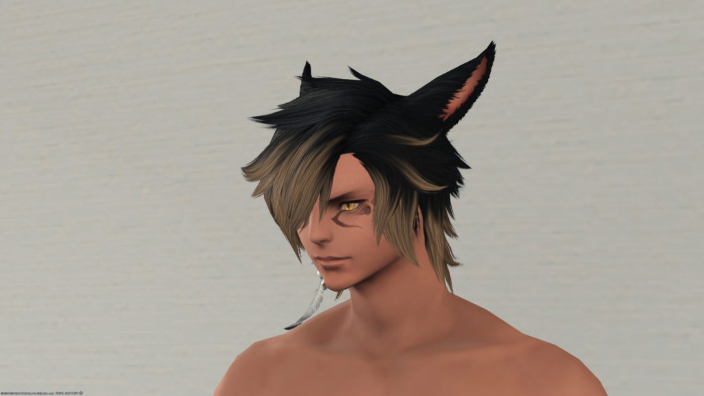 Ff14 かっこかわいい 髪型 マーセナリー の見た目と入手方法 コニーのタルト おしゃれテクニック