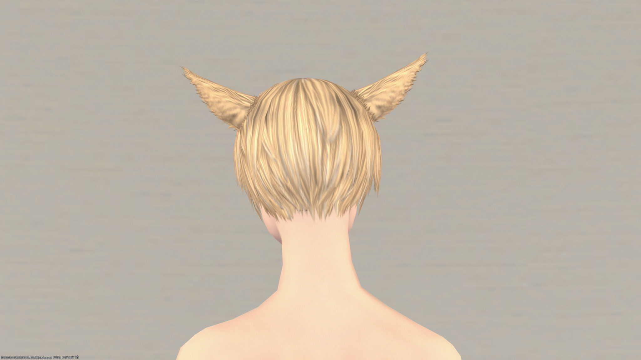 Ff149s Ff149s