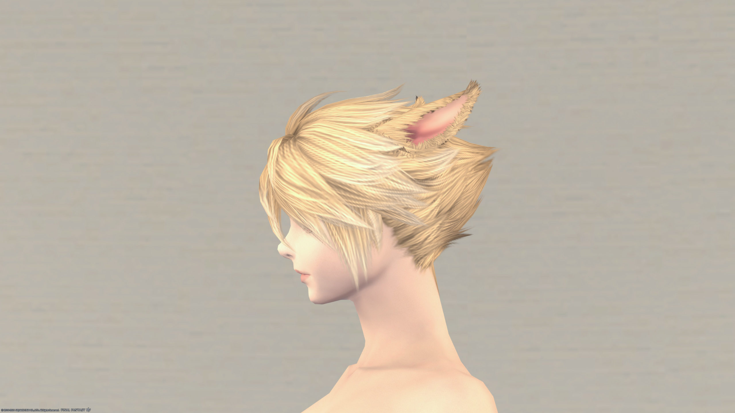 Ff14 気品あふれる 髪型 レジェンド の見た目と入手方法 コニーのタルト おしゃれテクニック