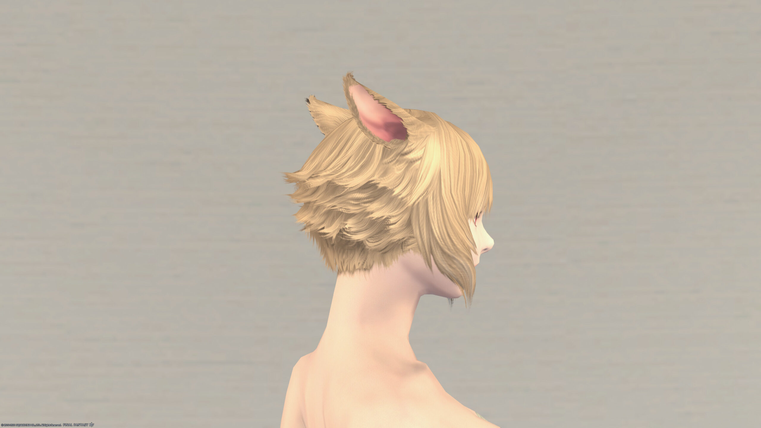 Ff14 ヤシュトラのヘアスタイル 髪型 サイオンズヒーラー の見た目と入手方法 コニーのタルト おしゃれテクニック