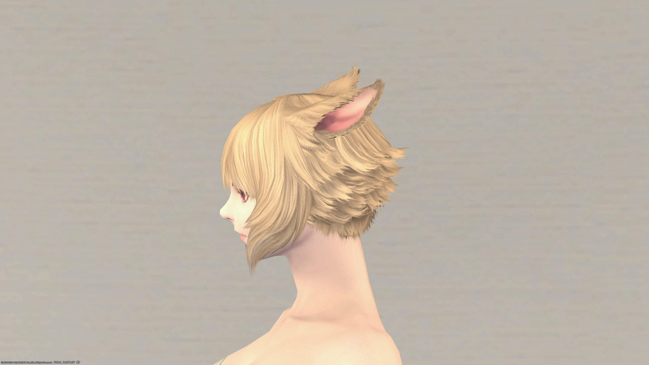 Ff14 ヤシュトラのヘアスタイル 髪型 サイオンズヒーラー の見た目と入手方法 コニーのタルト おしゃれテクニック