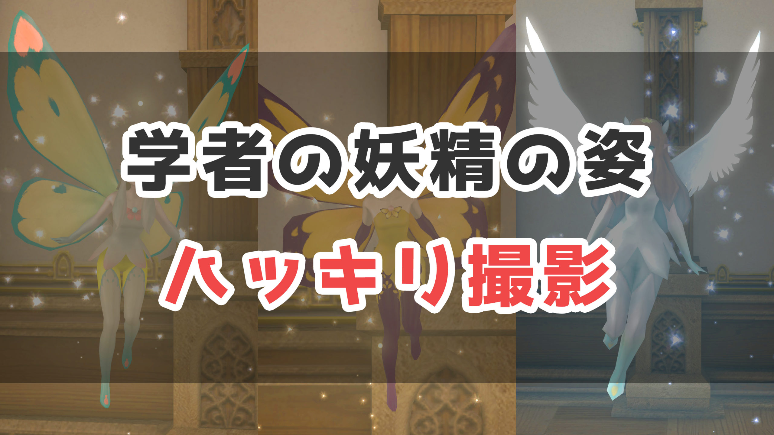 Ff14 学者の妖精の顔をハッキリ撮影する方法 コニーのタルト Ssテクニック集