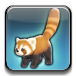 lesser_panda