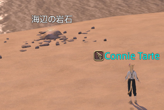 アロアロ島の海辺の岩石