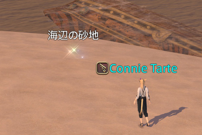 アロアロ島の海辺の砂地